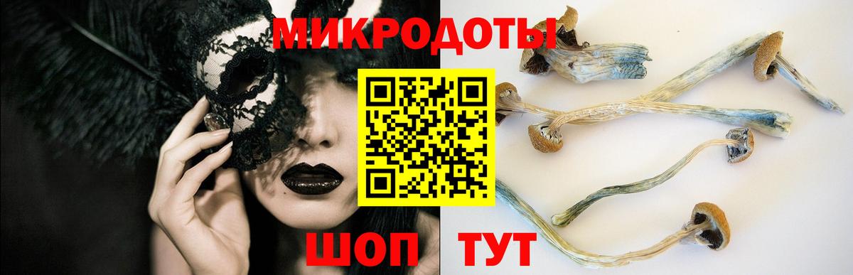 Псилоцибиновые грибы GOLDEN TEACHER  Вход с VPN  Галлюциногенные грибы GOLDEN TEACHER  закладки  Рославль 